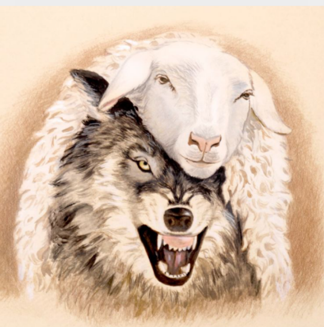recuerda en bogota hay muchos lobos difrasado de ovejas, en podologo bogota somos medico certificados y con mucha experiencia. 